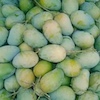 আম্রপালি