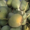 গোপালভোগ